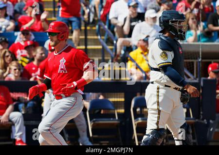 St. Louis Cardinals' Harrison Bader bats during a baseball game against the  Pittsburgh Pirates Wednesday, May 19, 2021, in St. Louis. (AP Photo/Jeff  Roberson Stock Photo - Alamy