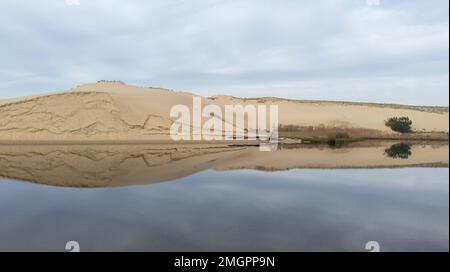 sand dunes of the Huchet current in the Landes Moliets-et-Maa Estuary of Courant Huchet river Stock Photo