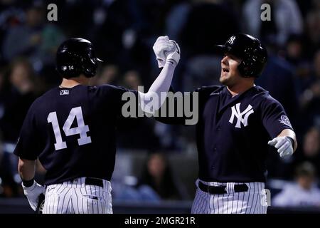 New York Yankees' Tyler Wade (14) celebrates with teammates after