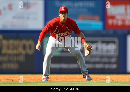 Photo: St. Louis Cardinals Nolan Gorman - SLP2022061102g 