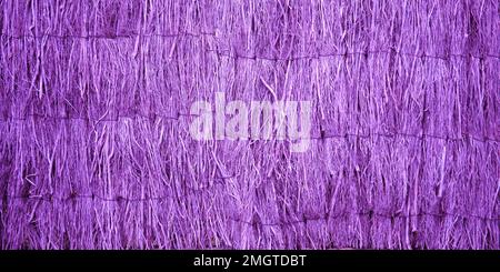 background purple natural wallpaper Wicker pink rustic vegetal fibers woven in violet barrier garden Stock Photo