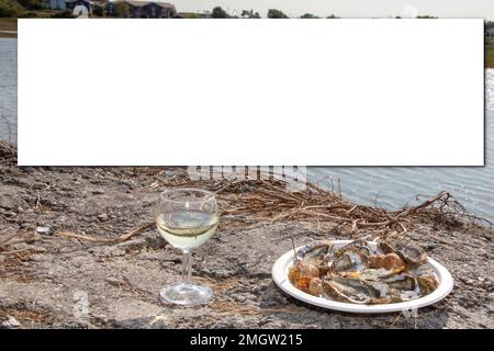 mockup oysters in plate and wine glass overlooking the sea with blank empty white mock up ready for recipe text Stock Photo