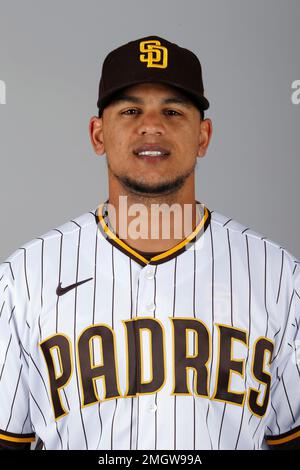 A headshot of San Diego Padres' Juan Soto prior a baseball game against the  Los Angeles Dodgers Sunday, Aug. 7, 2022, in Los Angeles. (AP Photo/Mark J.  Terrill Stock Photo - Alamy