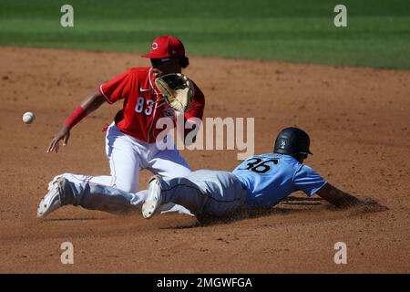 Reds promote shortstop Jose Garcia