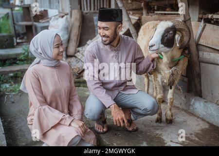 a moslem man squatting and holding the goat Stock Photo