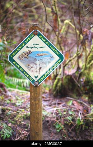 Wildlife Habitat - Freshwater Habitat sign posted in a local park to "Please keep dogs out". Metro Vancouver, B. C., Canada- vertical Stock Photo