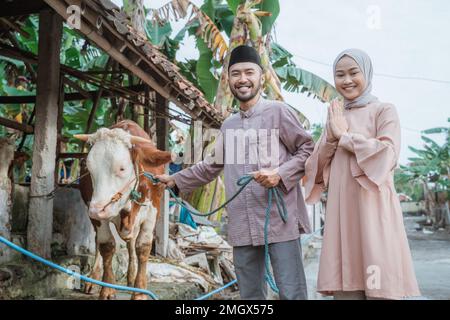 woman in hijab standing beside the man that holding the cow's bridle Stock Photo
