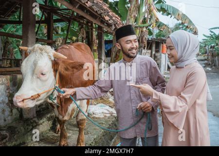 a woman with hijab standing beside the man that holding cow's bridle Stock Photo
