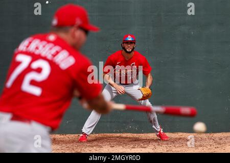 This is a 2020 photo of Jack Flaherty of the St. Louis Cardinals baseball  team. This image reflects the Cardinals active roster as of Wednesday, Feb.  19, 2020, when this image was