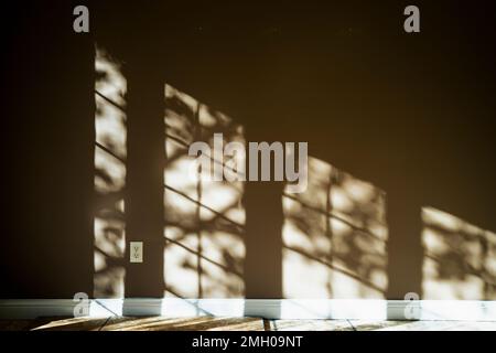 Shadows of Windows and Tree Branches on Empty Wall in Home Stock Photo