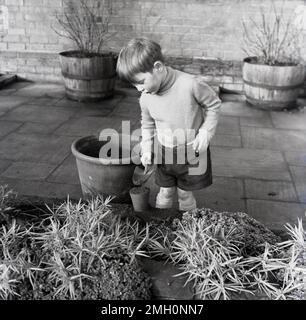 1960s, historical, outside at a garden pation, a young boy in shorts and rollneck sweater, with a small trowel playing with earth, moving it from a large pot to a smaller one, England, UK. Stock Photo
