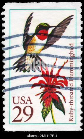 USA - CIRCA 1992: A Stamp printed in USA shows the Ruby-throated Hummingbird, series, circa 1992 Stock Photo