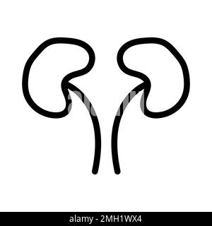 Human kidneys icon line isolated on white background. Black flat thin icon on modern outline style. Linear symbol and editable stroke. Simple and pixe Stock Vector