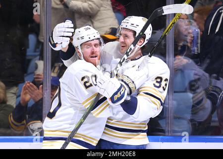 Buffalo Sabres defenseman Colin Miller (33) celebrates his goal