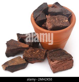 Edible black catechu extracted from acacia trees Stock Photo