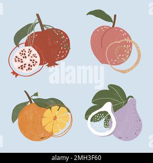 Hand drawn fruits design resource pack vector Stock Vector