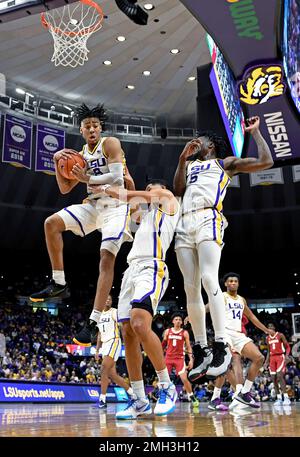 LSU basketball's Skylar Mays, Trendon Watford earn SEC