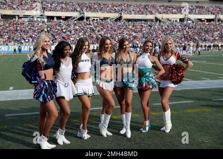 A Tampa Bay Buccaneers and NFC cheerleader performs during the Pro Bowl,  Sunday, Jan. 26, 2020, at Camping World Stadium in Orlando, Florida. (Photo  by IOS/ESPA-Images Stock Photo - Alamy