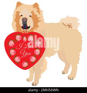 Cute Chow chow pet dog with red heart for Valentines Day card, vector Stock Vector