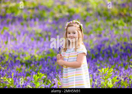 Personalised Funeral Bluebell Seed Packets Favour Flowers Remembrance  Memorial Condolence Sympathy Celebration of Life Choose Amount - Etsy