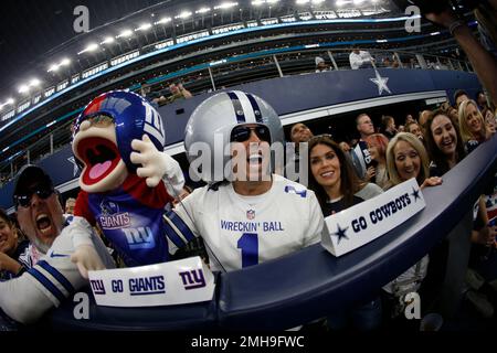 Dec 15, 2019: A Los Angeles Rams fan dresses up during an NFL game between  the Los Angeles Rams and the Dallas Cowboys at AT&T Stadium in Arlington,  TX Dallas defeated Los