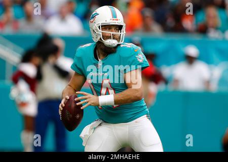 Miami Gardens, Florida, USA. 3rd Nov, 2019. Miami Dolphins quarterback Ryan  Fitzpatrick (14) in action during an NFL football game at the Hard Rock  Stadium in Miami Gardens, Florida. Credit: Mario Houben/ZUMA