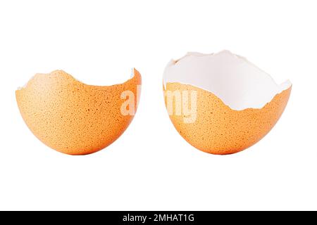 Egg shell isolated on white. Broken egg shell isolated on white Stock Photo