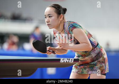 Tokyo, Japan. 26th Jan, 2023. Mima Ito Table Tennis : All Japan Table Tennis Championships 2023 Women's Singles 4th Round at Tokyo Metropolitan Gymnasium in Tokyo, Japan . Credit: AFLO SPORT/Alamy Live News Stock Photo