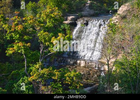Albion Falls - Beautiful cascade waterfall in the autumn forest, silky smooth stream. Stock Photo