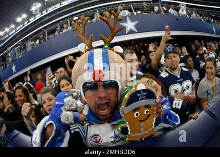 Dec 15, 2019: A Los Angeles Rams fan dresses up during an NFL game