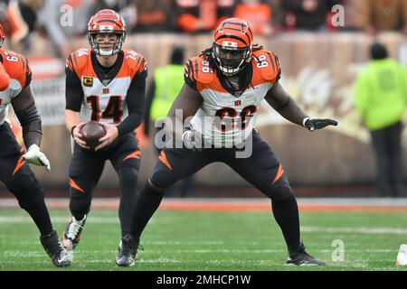 Cincinnati Bengals center Trey Hopkins (66) blocks during an NFL football  game against the Baltimore Ravens, Sunday, Oct. 24, 2021 in Baltimore, Md.  (AP Photo/Daniel Kucin Jr Stock Photo - Alamy