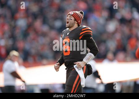 AFC North, American Football Conference, NFL, National Football League, Baker  Mayfield, Cleveland Browns, Pittsburgh Steelers, Cincinnati Bengals