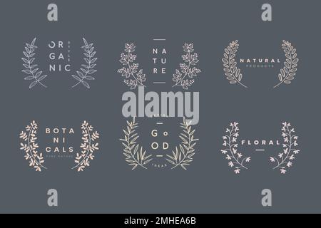 Botanical laurel wreath collection vector Stock Vector