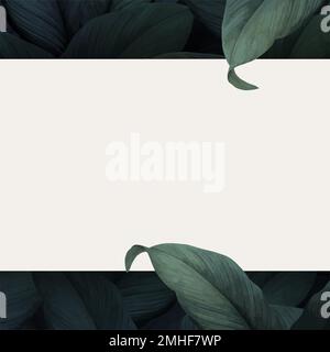 Botanical leafy square social media banner vector Stock Vector