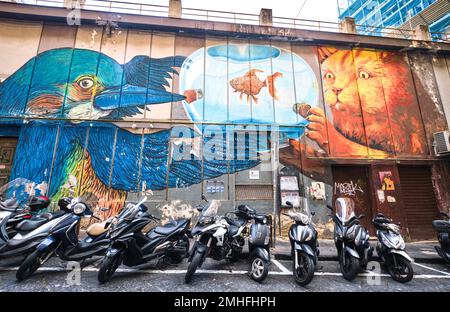 A large mural on the side of a supermarket, depicting a blue bird and orange cat looking at a goldfish in a fishbowl. An example of graffiti in Naples Stock Photo