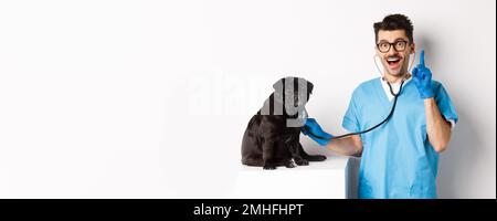 Excited male doctor veterinarian having an idea while examining cute pug dog with stethoscope, raising finger in eureka sign, white background Stock Photo