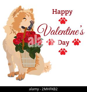 Cute Chow chow pet dog with basket of roses for Valentine Day card, vector Stock Vector