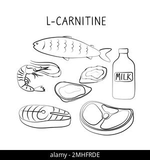 L-carnitine-containing food. Groups of healthy products containing vitamins  and minerals. Set of fruits, vegetables, meats, fish and dairy Stock Vector  Image & Art