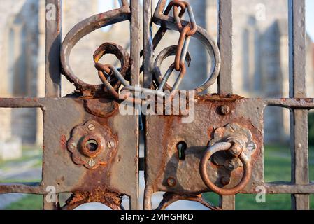 Old and rusty metal gate with chains lock. Showing texture of weathering and age. Stock Photo