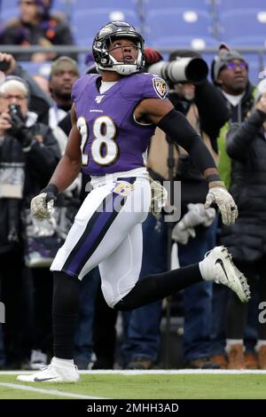 Baltimore Ravens free safety Jordan Richards (28) in action during the  third quarter of an NFL