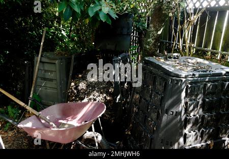 A compost bin is open, the compost is going to be shoveled into the wheelbarrow. Other compost bins are still breaking down their contents. Stock Photo