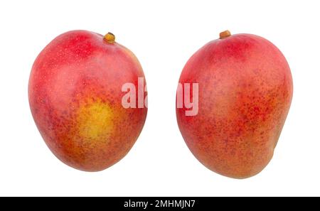 mango path isolated on white Stock Photo