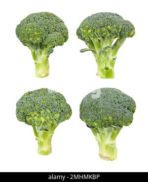 broccoli path isolated on white Stock Photo