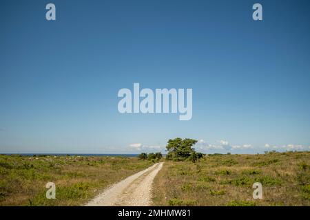 Dirt road leading to sea coast Stock Photo