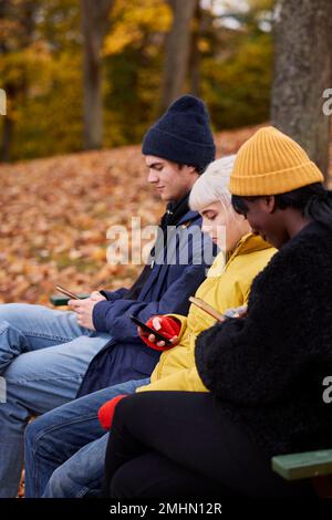 Three friends in park using smartphones Stock Photo