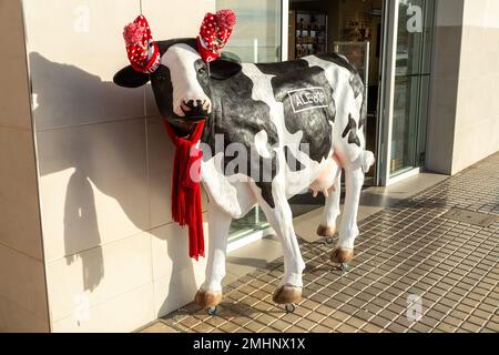 A plastic black and white cow outside a shop in Benidorm wearing Christmas hats over it's horns and a red scarf Stock Photo