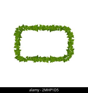 Ivy lianas frame, vector border with climbing vines, green leaves of ...