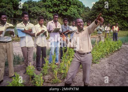 Zambia. Mongu Young farmers and students at the Farmers Institute of the Western Province attending a cource in the field. Trefwoorden Stock Photo