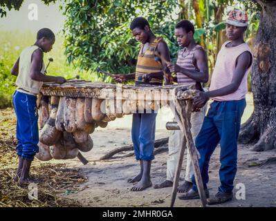 Zambia, in the rural area outside Mongu several musicians play the a silimba xylophone. Stock Photo