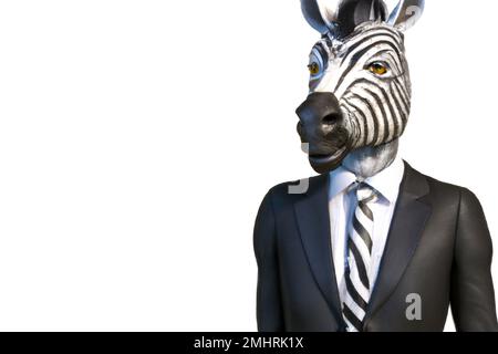 Portrait of Zebra in a business suit – Digital 3D Illustration on white background Stock Photo